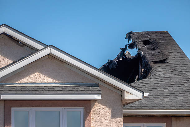 Top rated local Odor Removal specialists in Dunn Loring, VA